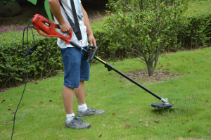 Tondeuse électrique