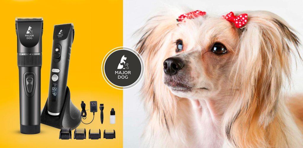 TOP 8 des meilleures tondeuses pour chiens en 2026