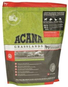 Meilleure nourriture pour chat en 2026