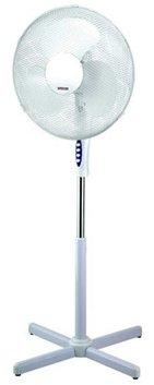 Meilleurs fans à domicile en 2026