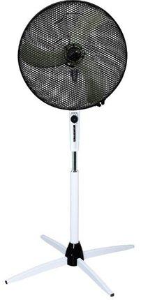 Meilleurs fans à domicile en 2026