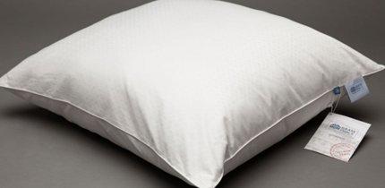 Meilleurs oreillers en 2026