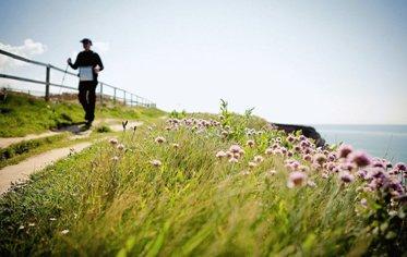 Meilleurs bâtons de marche nordique en 2026