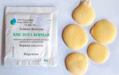 Le meilleur remède contre les cafards dans un appartement en 2026