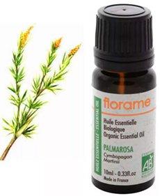 Meilleurs fabricants d'huiles essentielles en 2026