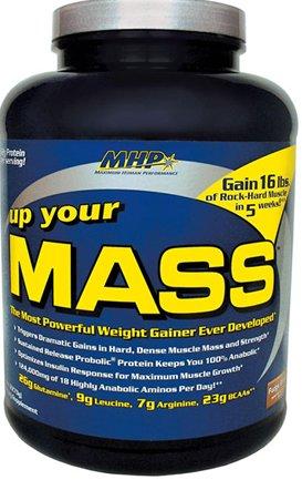 Meilleurs gain de poids en 2026