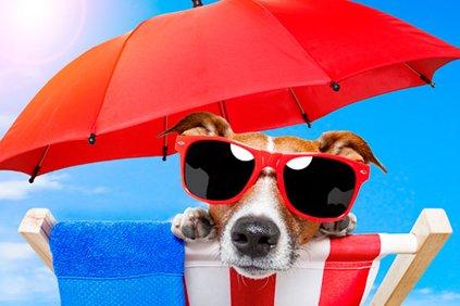 Comment choisir des lunettes de soleil