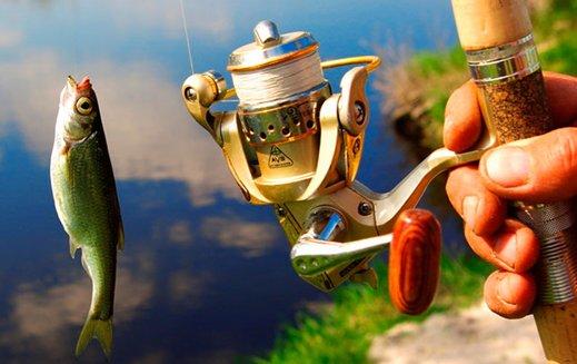 Comment choisir une bobine pour la filature