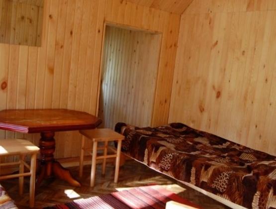 Les meilleurs centres de loisirs de l'Altaï en 2026