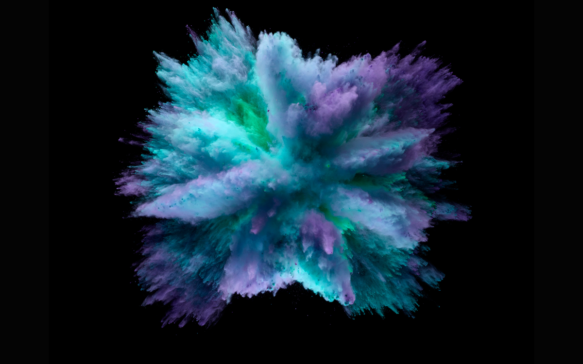 Les meilleures poudres. Faites votre choix en utilisant notre évaluation.