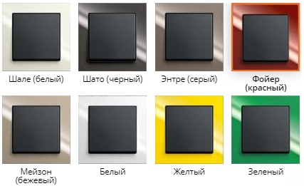 Les meilleurs fabricants de prises et de commutateurs: économiques et premium