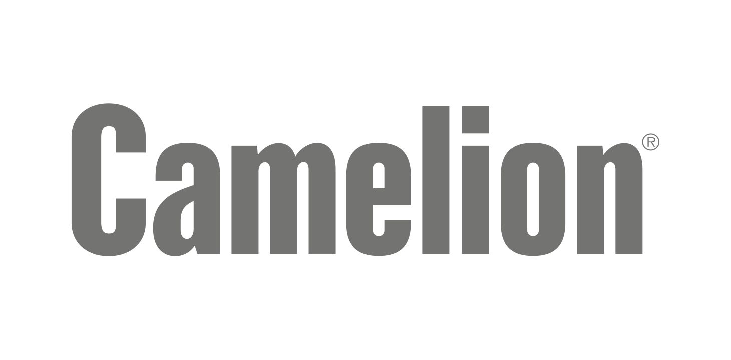 Ampoules LED Camelion