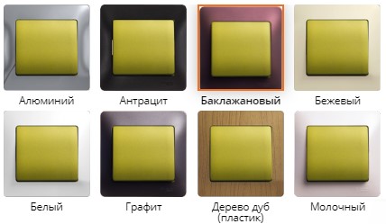 Les meilleurs fabricants de prises et de commutateurs: économiques et premium