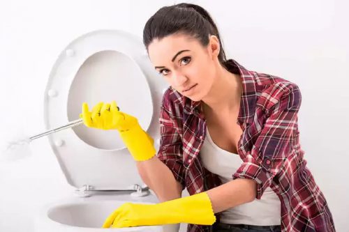 meilleurs nettoyants pour toilettes