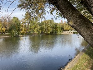 Photo d'Apple iPhone 11